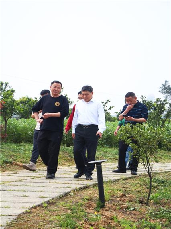 de9f31405c0343aba75d2b3c3fb2012f_wh426x639.jpg